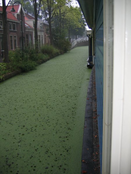 Soohee wat een regen