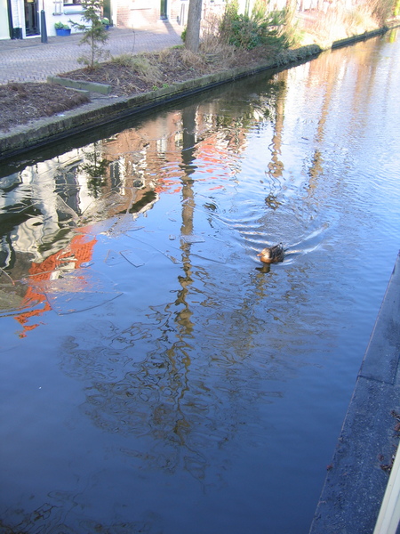 Langsdrijvende ijsschotsen