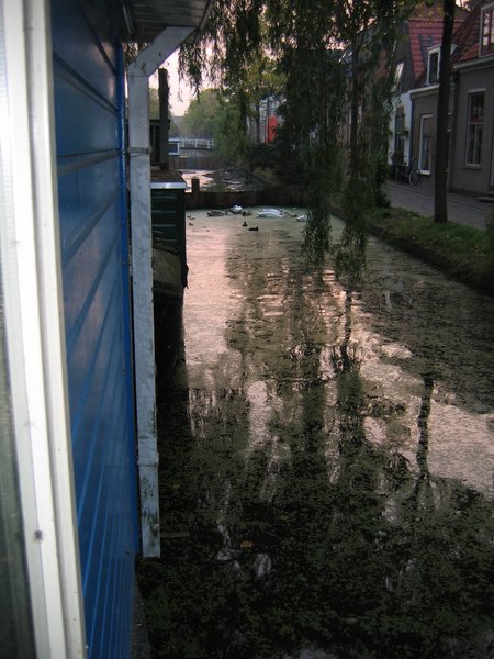 Verder kunnen ze niet, vanwege de damwand