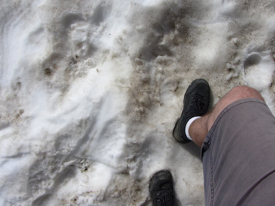 Pad door de sneeuw dus