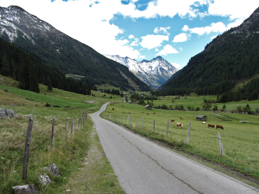 Uitzicht op de Nussingkogel