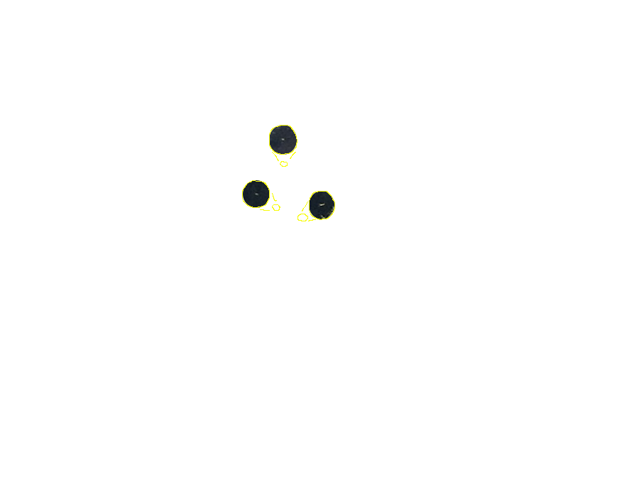 Zoek de roofvogels (3x)