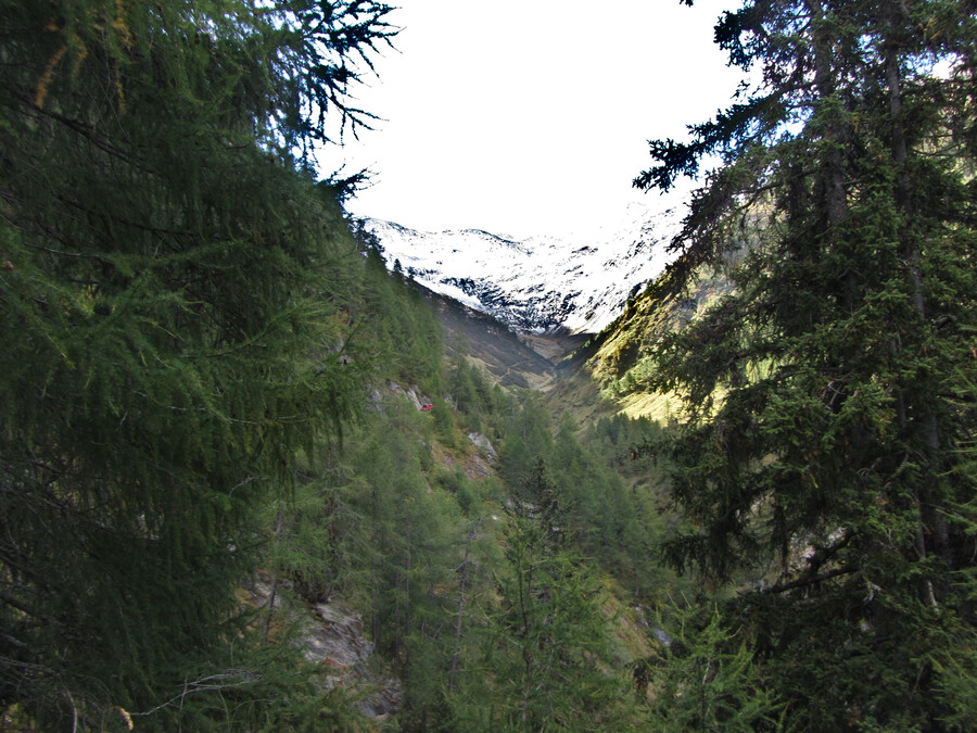 Eerste blik in het Lasnitzental. Zoek de brandweerauto.