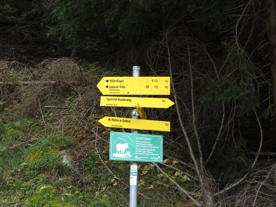 Nu we er toch zijn meteen maar even een klein stukje Tauerntal Wanderweg richting het Gschlößtal doen. Pas op voor de koeien!