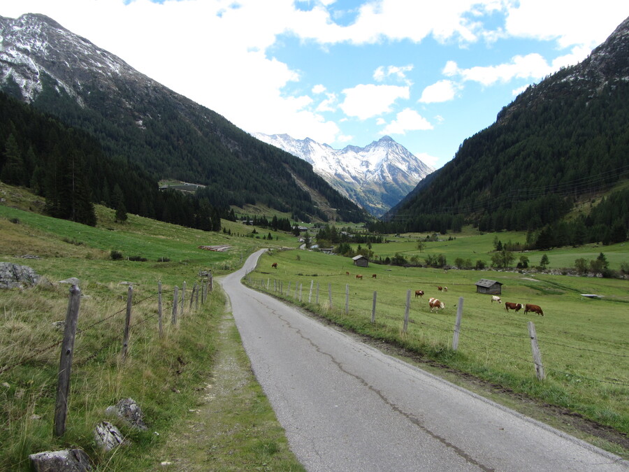 Uitzicht op de Nussingkogel