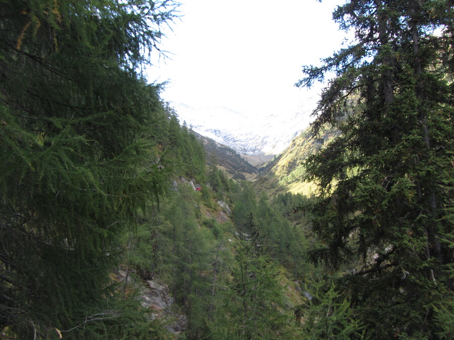 Eerste blik in het Lasnitzental. Zoek de brandweerauto.