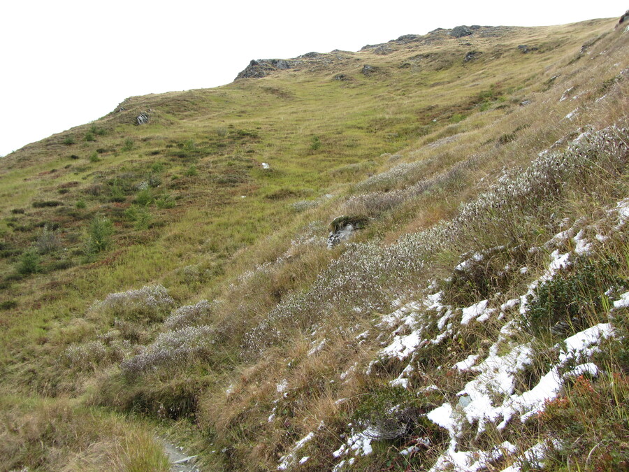 De sneeuw lag hier los van de grond bovenop het gras