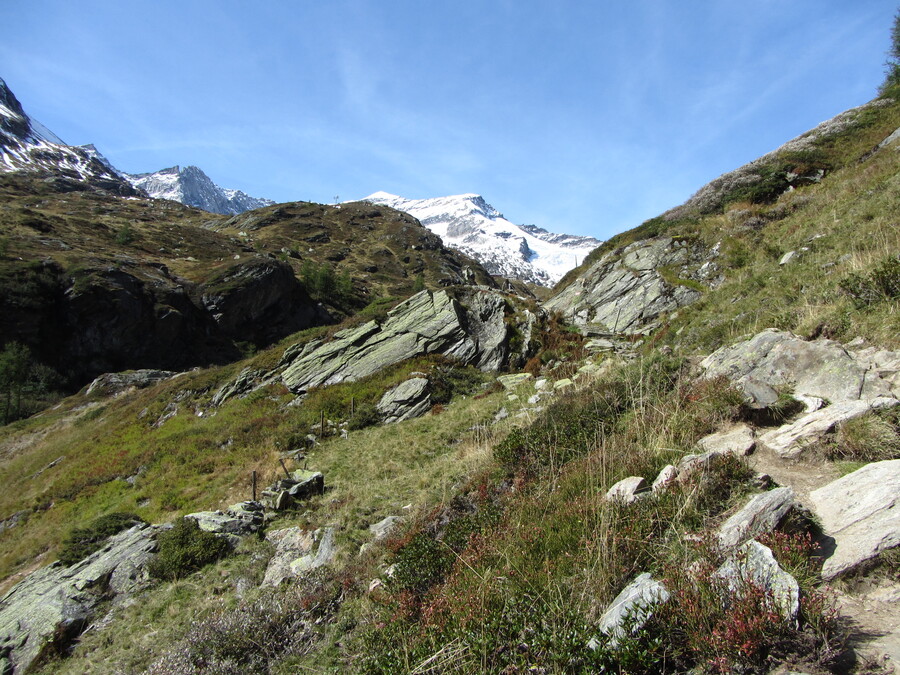 En alweer terug in het dal. Laatste teugblik richting hut en Simonyspitzen