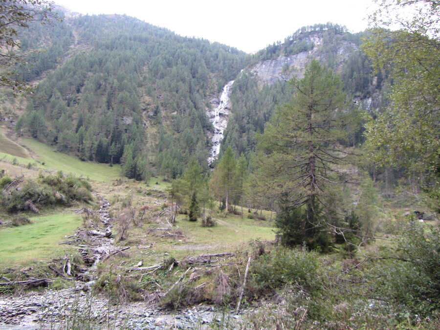 De Kleinbachfall en veel dood hout