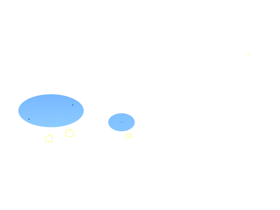 Zoek de twee roofvogels en de zwaluw
