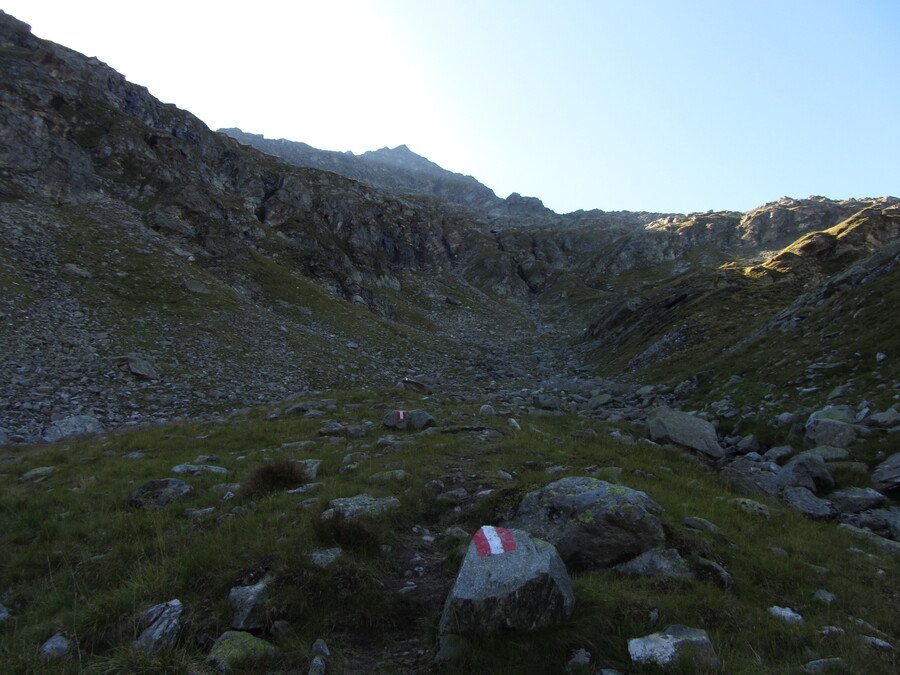 Terugkijkend naar de Wildenkogel in de avondschaduw. De wereld is weer een stuk groener hier.