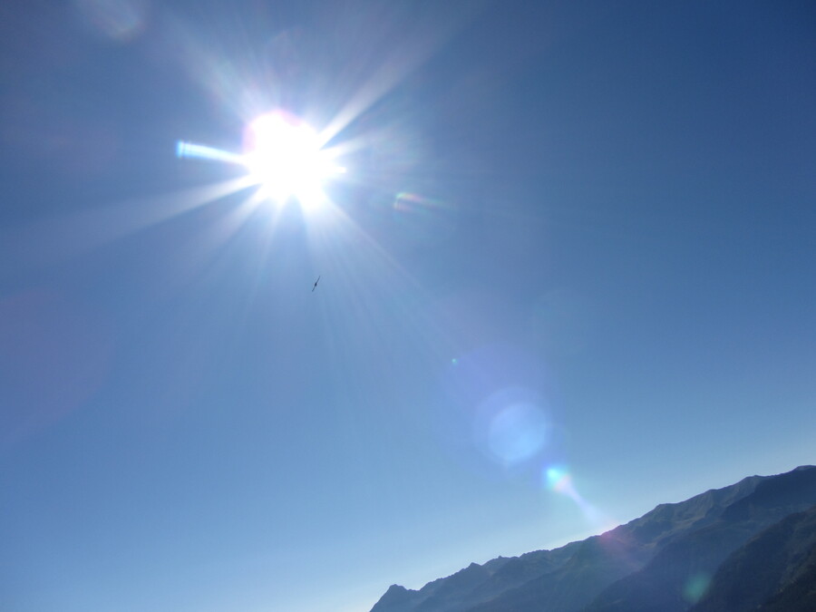 Er waren ook een heleboel zwaluwen, hier eentje op weg naar de zon