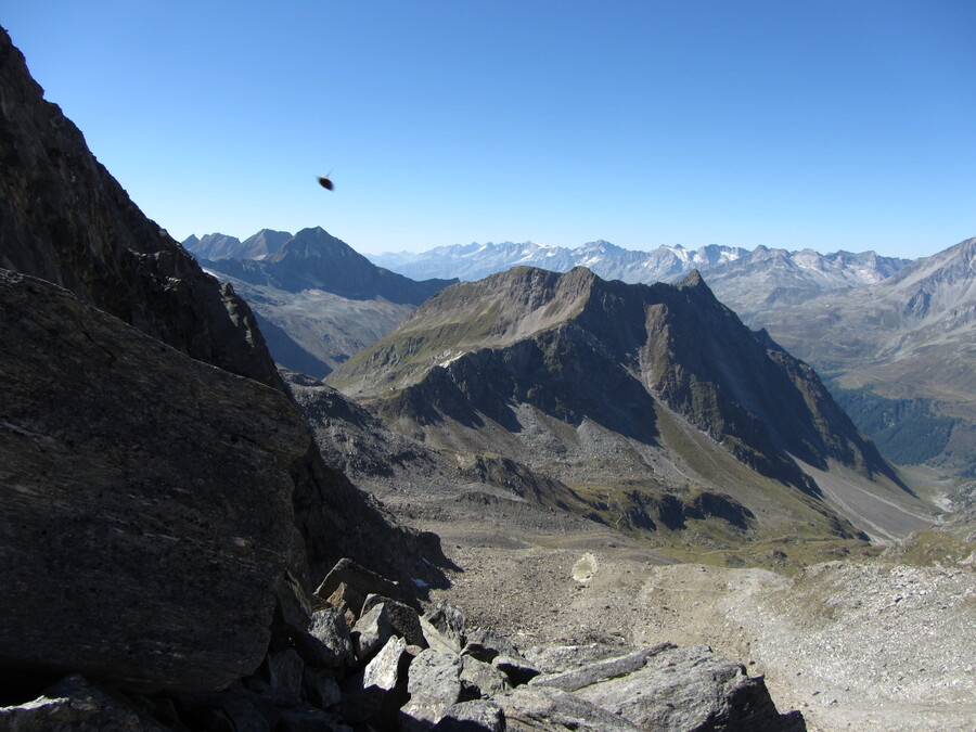 De Ahrner Kopf/Cima del Vento is ook vanuit de Lenkjöchlhütte te bereiken. Plus vogel.