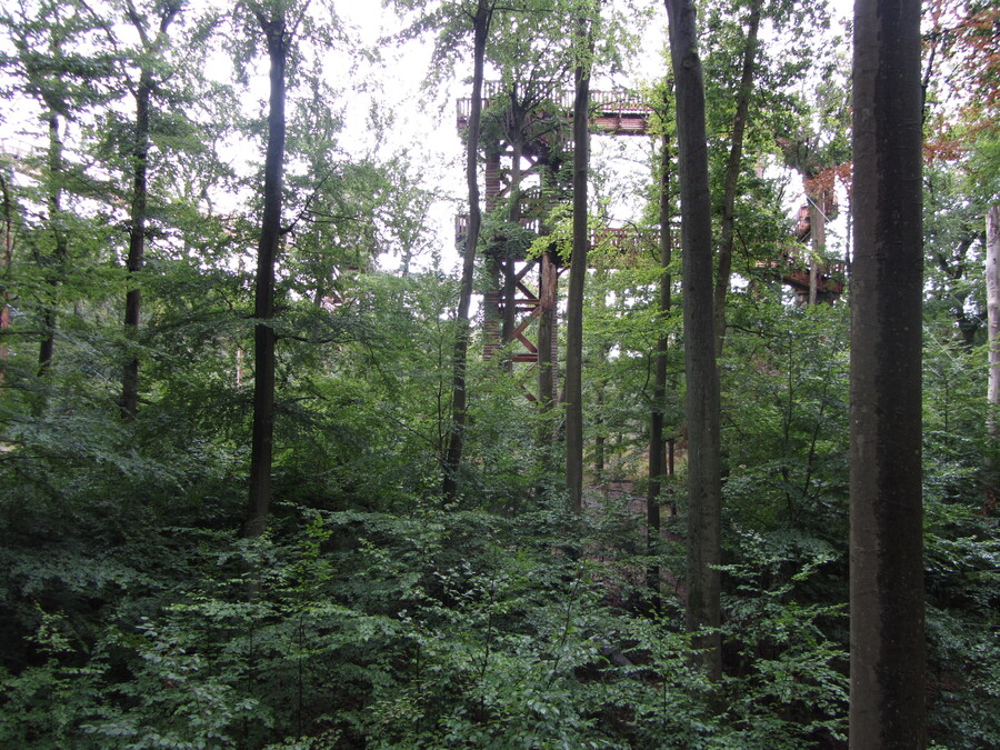 Verstopt tussen de bomen maar toch gevonden