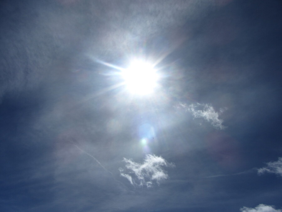 De ietwat versluierde zon verlicht een vogel