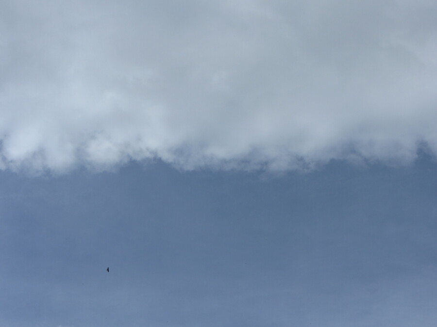 Nog eentje in een wonderschone compositie van een half bewolkte lucht