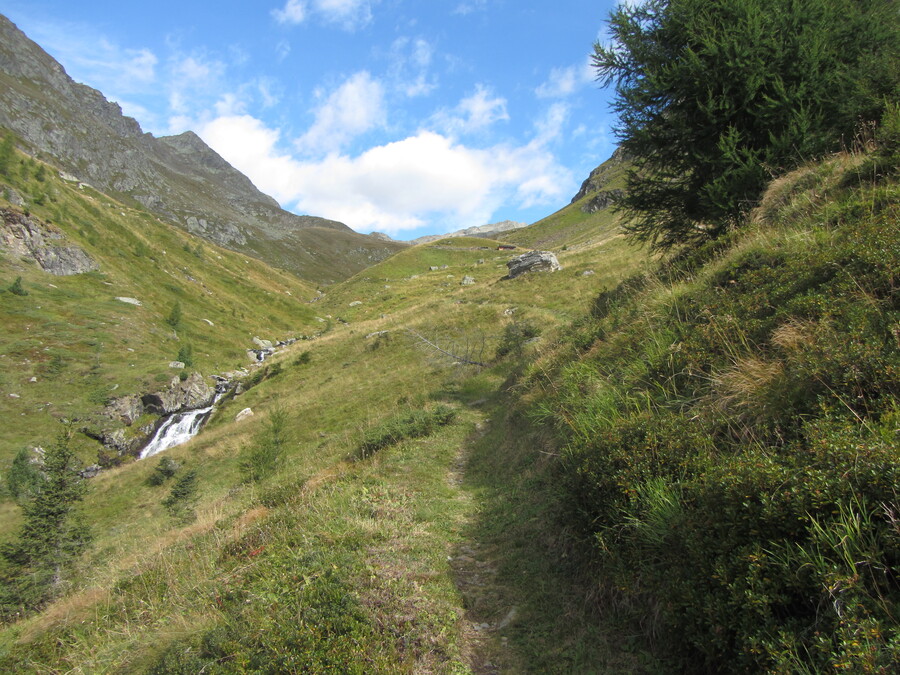 De Erlsbacher Alm net boven de boomgrens had groen als themakleur