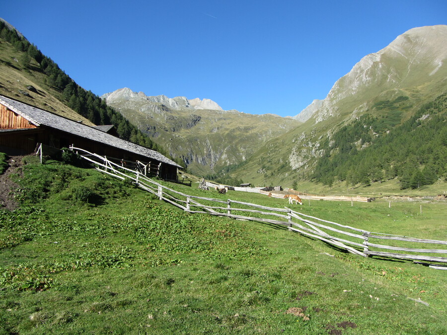 Vanaf de Alm torenen de Wellachk&ouml;pfe weer hoog boven alles uit
